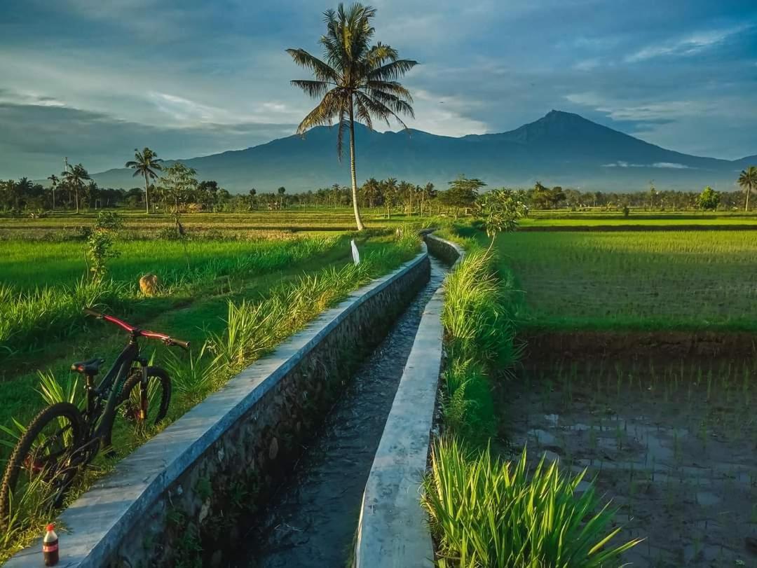Peraja Bungalows Loyok Sangyang Cameră foto