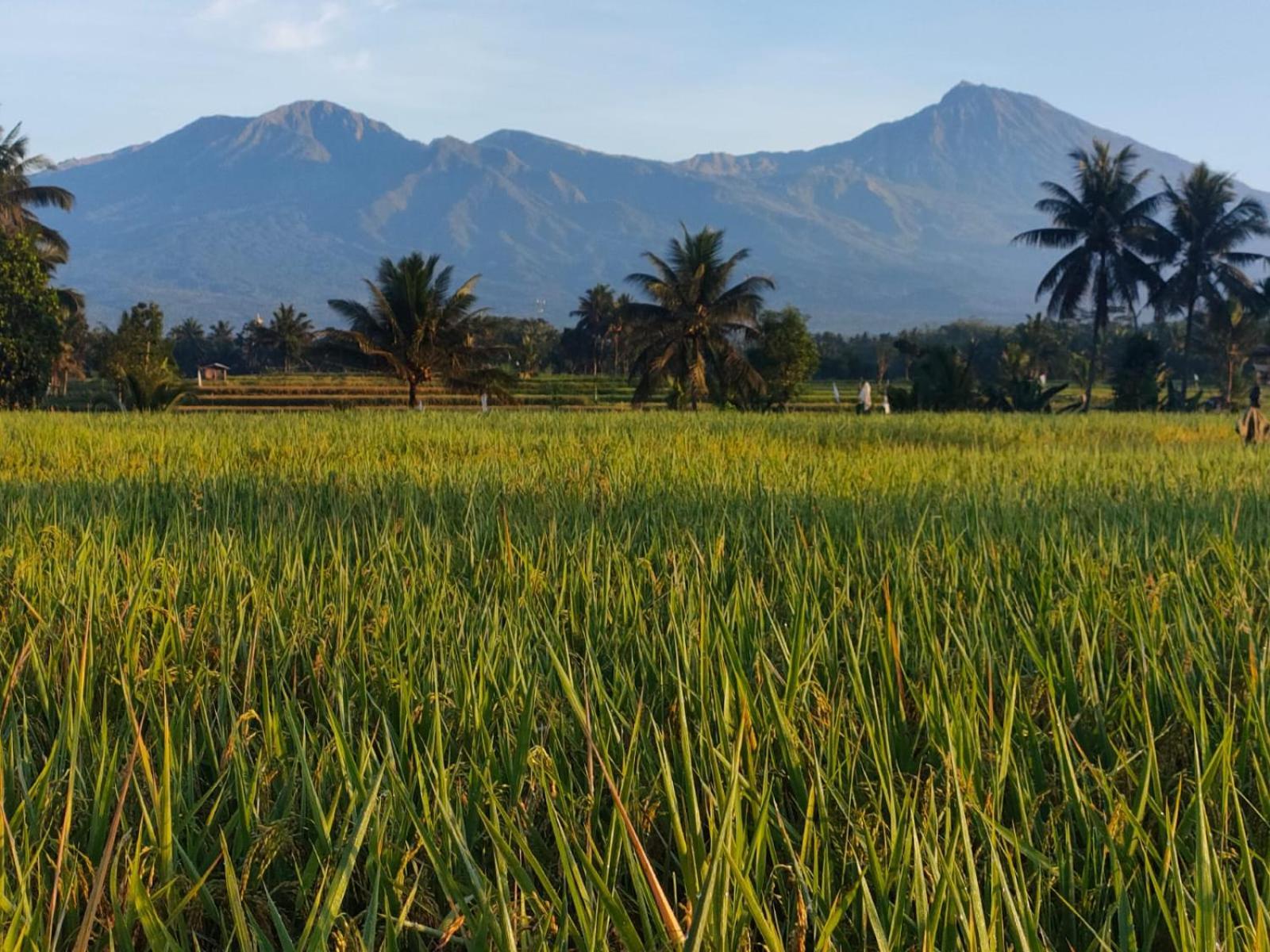Peraja Bungalows Loyok Sangyang Cameră foto